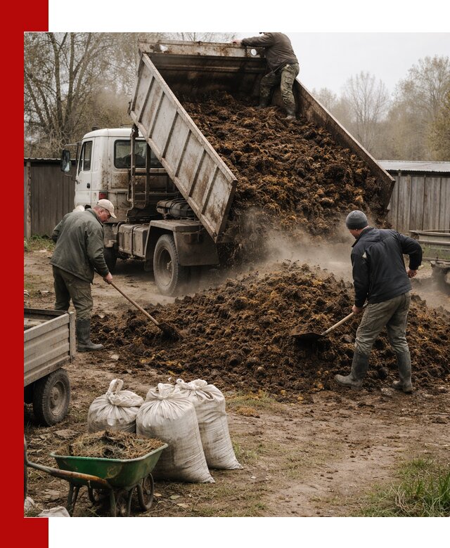 Доставка коровьего навоза самосвалом в Дубне